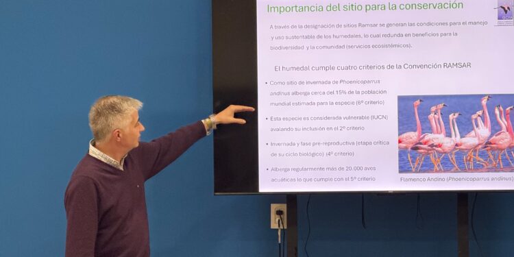 EL 6.º FORO NACIONAL DE HUMEDALES DESARROLLÓ TALLERES SOBRE CONSERVACIÓN, GESTIÓN Y RESTAURACIÓN DE ECOSISTEMAS.