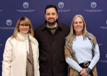 Ley Nicolás: media sanción a la adhesión en Santa Fe por iniciativa de Amalia Granata y Emiliano Peralta.