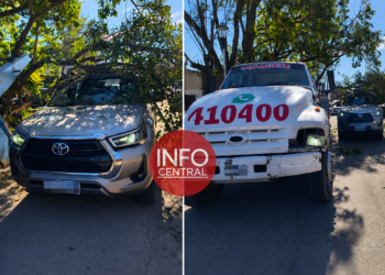 Reconquista: una rama cayó sobre una camioneta tras ser enganchada por un camión y provocó daños materiales.