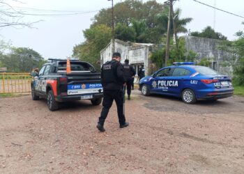 Las Toscas: detuvieron a una mujer acusada de disparar con un rifle de aire comprimido contra un empleado de una empresa de cable.
