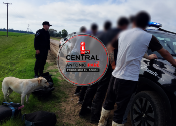 Cinco aprehendidos con cuchillos de grandes dimensiones tras un operativo policial en Avellaneda.
