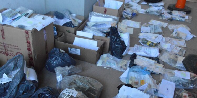 Ley de Microtráfico: quemaron 41.000 dosis droga incautadas en 160 allanamientos en Venado Tuerto.