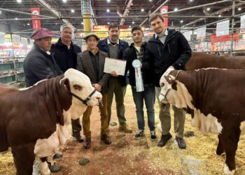 Santa Fe reconoció a 27 cabañas por su aporte a la excelencia genética en la Expo Rural de Palermo.