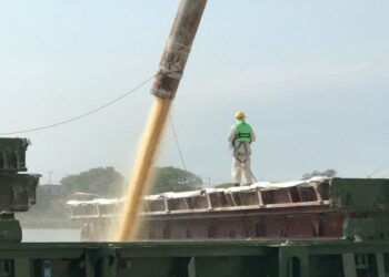 Los puertos públicos de Santa Fe movilizaron más de 2,8 millones de toneladas de carga en seis meses.