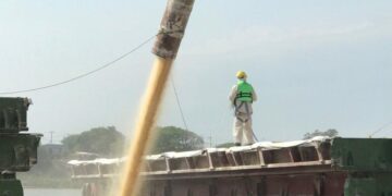 Los puertos públicos de Santa Fe movilizaron más de 2,8 millones de toneladas de carga en seis meses.