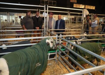 Santa Fe llevó a La Rural su modelo de desarrollo productivo y renovó su compromiso con el campo.
