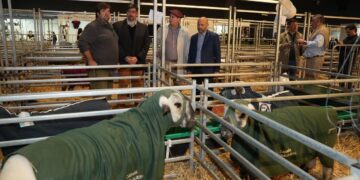 Santa Fe llevó a La Rural su modelo de desarrollo productivo y renovó su compromiso con el campo.