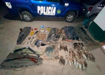 Fuertes operativos contra la caza y la pesca ilegal en Santa Fe, con secuestros y detenidos.