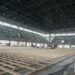 Juegos Suramericanos 2026: dos Leonas destacaron la inversión histórica del Gobierno de Santa Fe para el desarrollo deportivo.