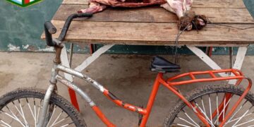 Personal de la Guardia Rural “Los pumas” de Seccion 9“ Villa Ocampo”  Esclarecen un Hecho de Abigeato de ganado menor y Robo.