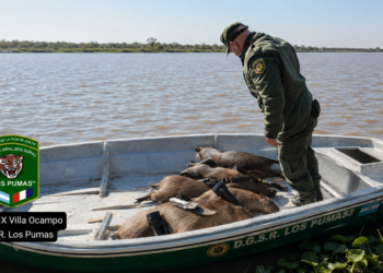 Villa Ocampo: tres hombres fueron aprehendidos por caza ilegal de carpinchos y tenencia de municiones.