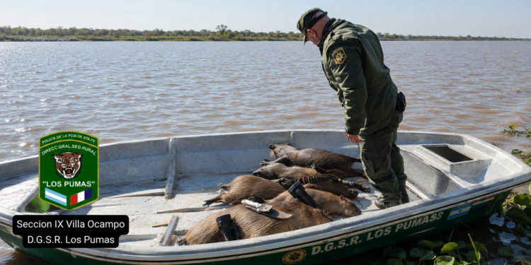 Villa Ocampo: tres hombres fueron aprehendidos por caza ilegal de carpinchos y tenencia de municiones.
