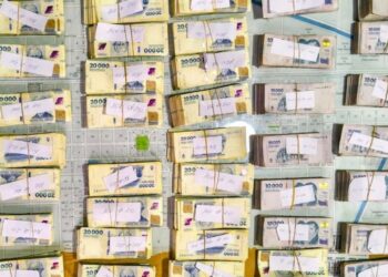 Encontró una mochila con casi $90 millones en una ruta de La Pampa y terminó detenido.