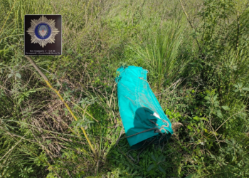 Dos menores fueron involucrados en el robo de una lona de camión en Tacuarendí.