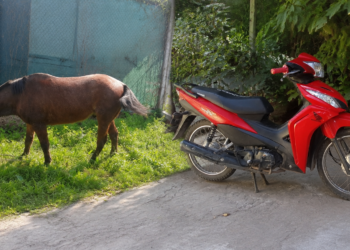 Dos mujeres resultaron heridas tras caer de una motocicleta en Villa Guillermina.