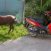 Dos mujeres resultaron heridas tras caer de una motocicleta en Villa Guillermina.