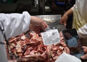 Santa Fe Business Forum: compradores internacionales recorrerán más de 160 empresas en toda la provincia .