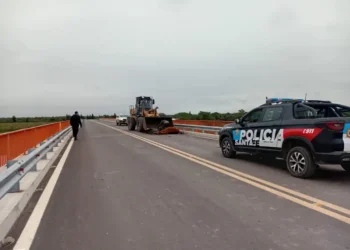 Villa Ocampo: Un caballo murió tras impactar contra un automóvil en el Puente Paraná Miní.