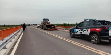 Villa Ocampo: Un caballo murió tras impactar contra un automóvil en el Puente Paraná Miní.