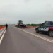 Villa Ocampo: Un caballo murió tras impactar contra un automóvil en el Puente Paraná Miní.