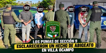 LOS PUMAS DE LA SECCIÓN 9 ESCLARECIERON UN HECHO DE ABIGEATO EN VILLA OCAMPO.