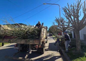 VILLA OCAMPO: ÚLTIMA SEMANA DEL HORARIO DE OTOÑO-INVIERNO PARA LA RECOLECCIÓN DE RAMAS.