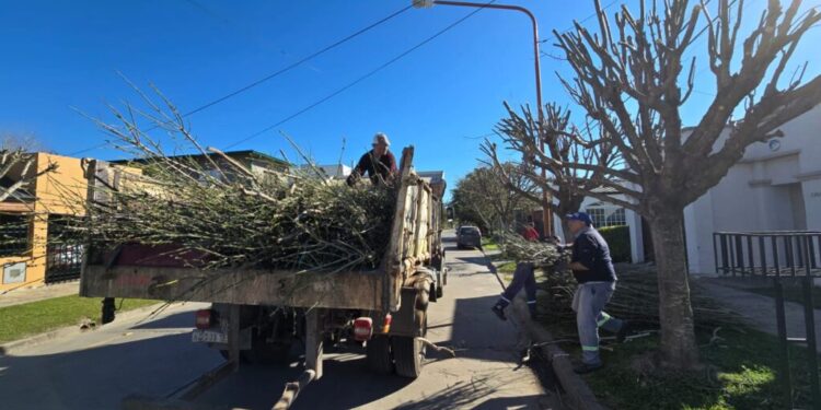VILLA OCAMPO: ÚLTIMA SEMANA DEL HORARIO DE OTOÑO-INVIERNO PARA LA RECOLECCIÓN DE RAMAS.