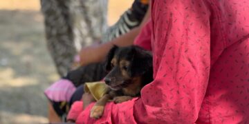 VILLA OCAMPO: NUEVA JORNADA DE CASTRACIÓN GRATUITA PARA MASCOTAS EN BARRIO EL PROGRESO.