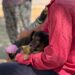 VILLA OCAMPO: NUEVA JORNADA DE CASTRACIÓN GRATUITA PARA MASCOTAS EN BARRIO EL PROGRESO.