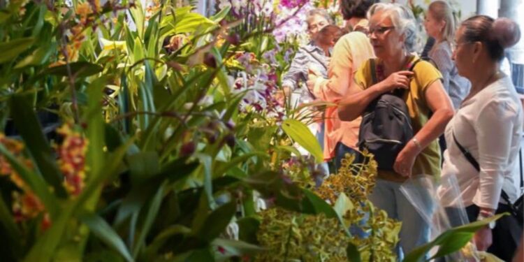 Villa Ocampo será sede de la “Exposición de Orquídeas”.