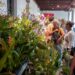 Villa Ocampo será sede de la “Exposición de Orquídeas”.