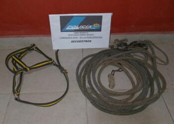 VILLA GUILLERMINA: DOS HOMBRES APREHENDIDOS POR EL HURTO DE ELEMENTOS DE UN CABALLO.