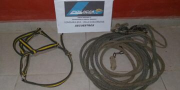 VILLA GUILLERMINA: DOS HOMBRES APREHENDIDOS POR EL HURTO DE ELEMENTOS DE UN CABALLO.
