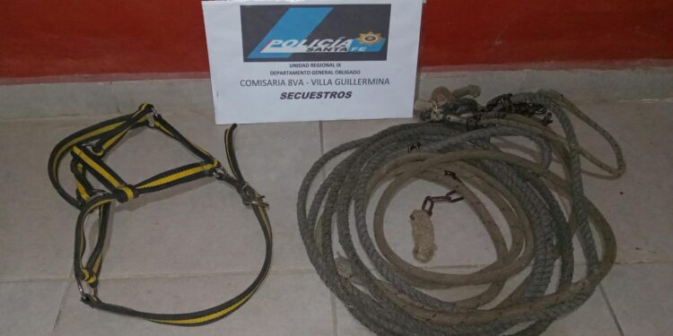VILLA GUILLERMINA: DOS HOMBRES APREHENDIDOS POR EL HURTO DE ELEMENTOS DE UN CABALLO.