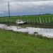 LOS LAURELES: UNA MUJER PERDIÓ EL CONTROL DE SU AUTOMÓVIL Y DESPISTÓ EN LA RUTA PROVINCIAL 1.