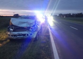 ARROYO CEIBAL: UNA CAMIONETA CHOCÓ CONTRA UN BÚFALO EN LA RUTA NACIONAL 11 Y NO HUBO HERIDOS.