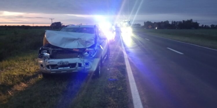 ARROYO CEIBAL: UNA CAMIONETA CHOCÓ CONTRA UN BÚFALO EN LA RUTA NACIONAL 11 Y NO HUBO HERIDOS.
