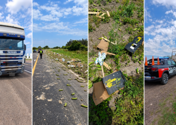 Guadalupe Norte: un camión perdió parte de su carga de bananas sobre la Ruta 11.