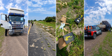 Guadalupe Norte: un camión perdió parte de su carga de bananas sobre la Ruta 11.