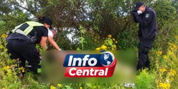 VILLA OCAMPO: UN HOMBRE DE 70 AÑOS MURIÓ AHOGADO MIENTRAS ARREABA GANADO EN UNA ZONA AFECTADA POR LA CRECIENTE.