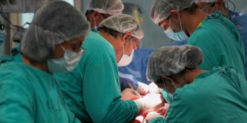 Santa Fe alcanzó un récord histórico de 100 donantes de órganos y logra cifras comparables con los 10 países líderes en la materia.