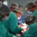 Santa Fe alcanzó un récord histórico de 100 donantes de órganos y logra cifras comparables con los 10 países líderes en la materia.