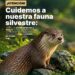 LA MUNICIPALIDAD DE VILLA OCAMPO BRINDA RECOMENDACIONES PARA PROTEGER LA FAUNA SILVESTRE ANTE LA CRECIDA DE LOS RÍOS Y ARROYOS.