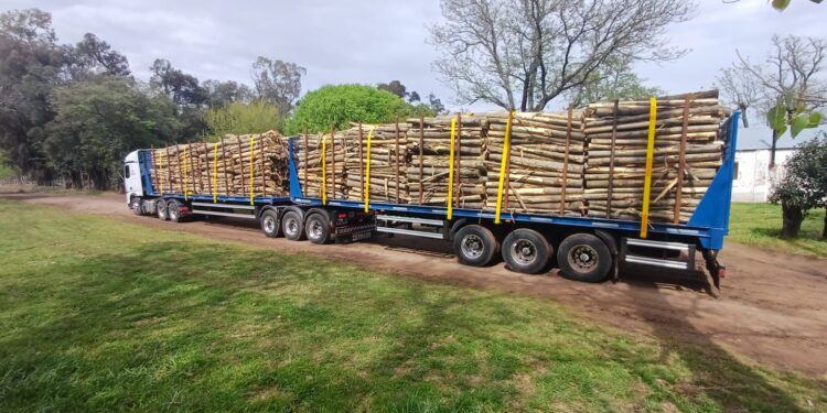 Santa Fe reduce costos logísticos: Papel Prensa ya opera con bitrenes de 75 toneladas en la Ruta 94.