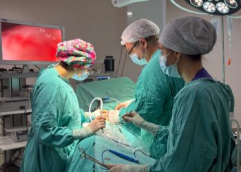 Con 98 donaciones de órganos en 10 meses, la Provincia alcanzó el récord histórico de todo un año.