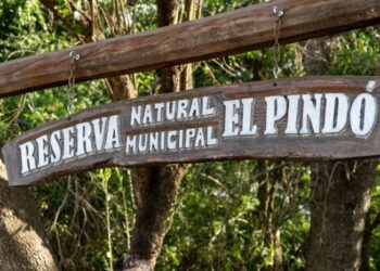 VILLA OCAMPO: LA RESERVA NATURAL MUNICIPAL “EL PINDÓ” PERMANECE CERRADA TEMPORALMENTE.