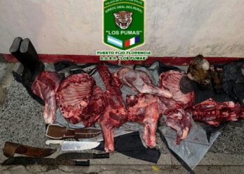 LOS PUMAS DE PUESTO FIJO FLORENCIA AVANZAN EN UNA INVESTIGACIÓN POR ABIGEATO.