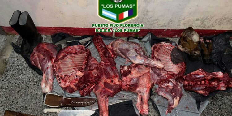LOS PUMAS DE PUESTO FIJO FLORENCIA AVANZAN EN UNA INVESTIGACIÓN POR ABIGEATO.